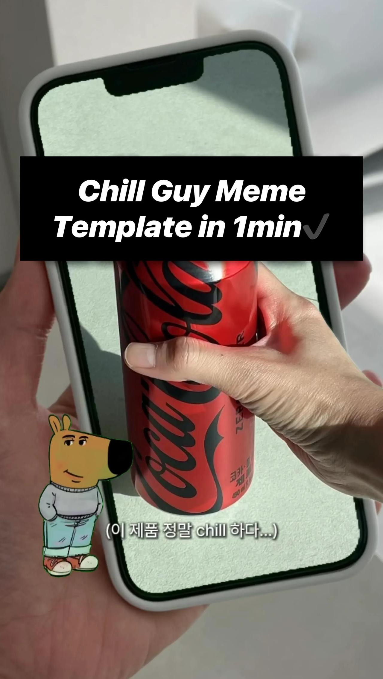Chill Guy Product Promo