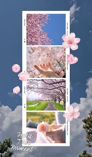 4-cut Video strip - Spring