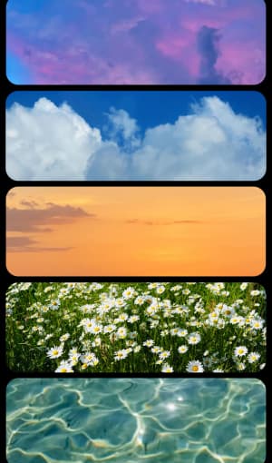 5 Rounded Frames