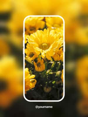 Phone Video Blur